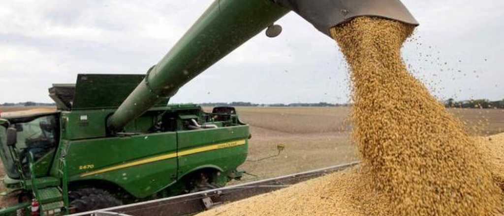 Números en Rojo: desafío para los productores de soja y maíz