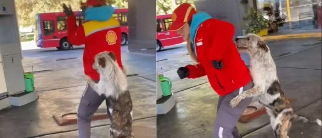 Video: el perro que baila con las chicas de una estación de servicio en la Costanera