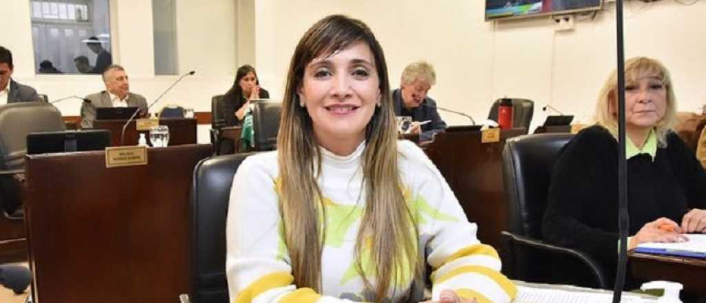 Video: una diputada de Capitanich culpó a Cecilia por meterse con los Sena