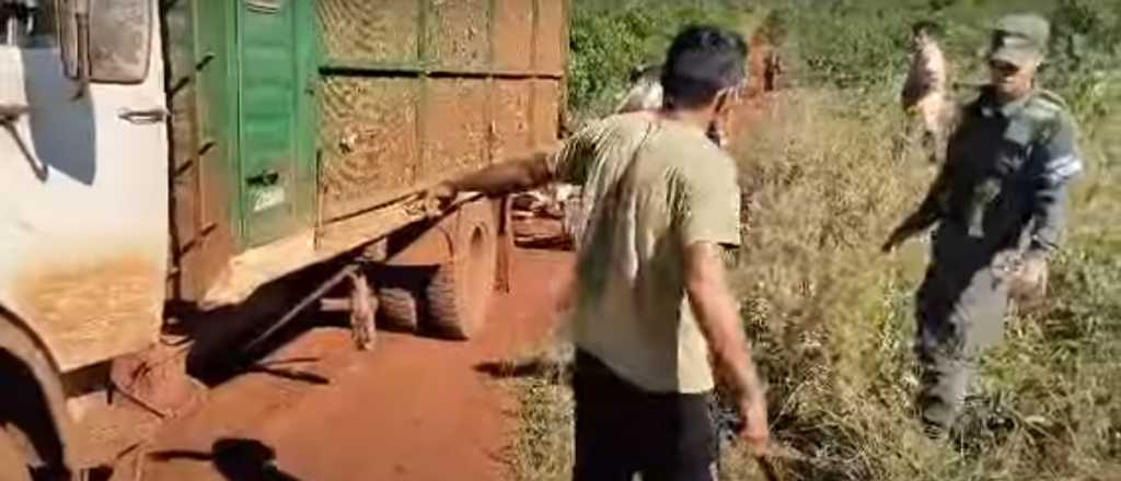 Video: amenazó a gendarmes con un machete en un control