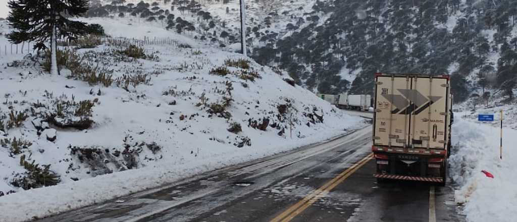 Camioneros también reclaman por demoras en el Paso Pino Hachado