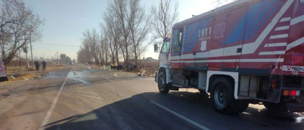 Incendios, ramas y postes caídos, el saldo del viento Zonda