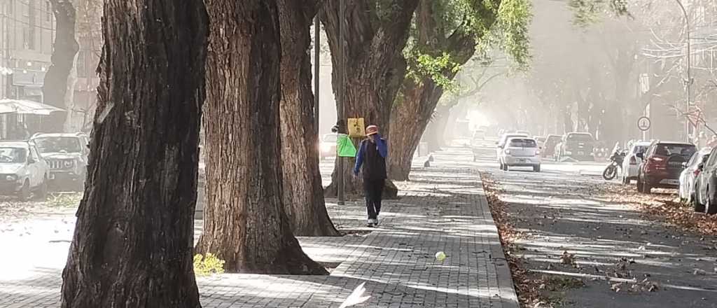 Pronosticaron lluvias y viento Zonda para los próximos días en Mendoza