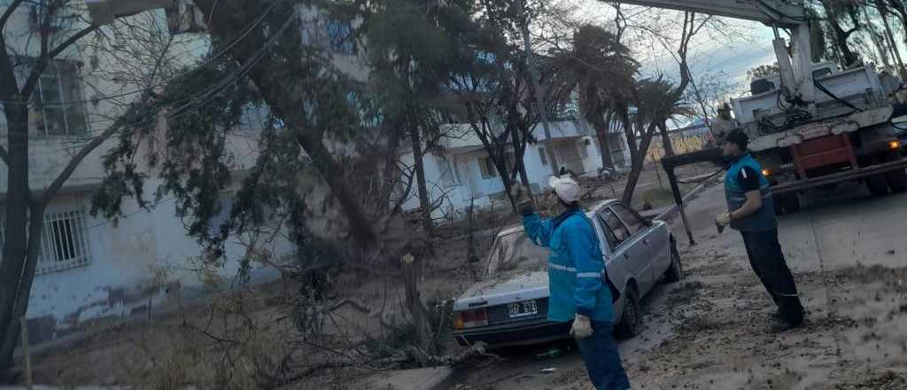 La Ciudad de Mendoza trabajó con 20 cuadrillas tras el viento Zonda  