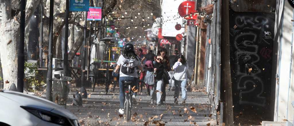 Cuatro departamentos con alerta amarilla por Zonda