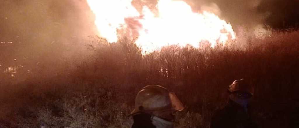 Videos y fotos: incendio en un campo de Guaymallén 