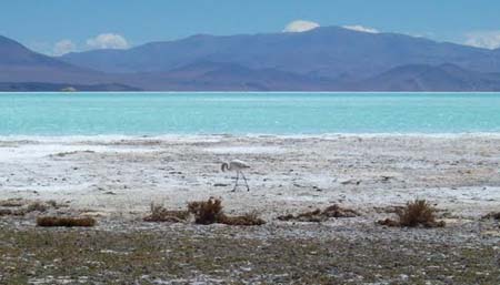 MINERÍA: ARCADIUM LITHIUM Compró Los Activos De LITIO De LI-METAL ...