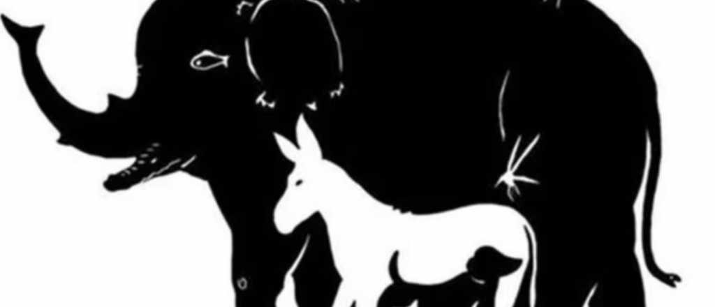 Reto visual: ¿puedes encontrar a los trece animales?