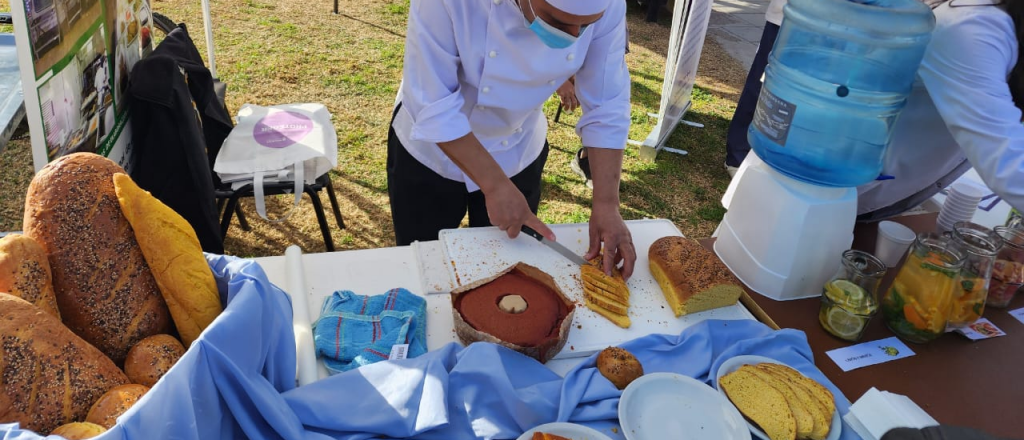 Se realiza en Mendoza el Congreso de la Gran Manzana