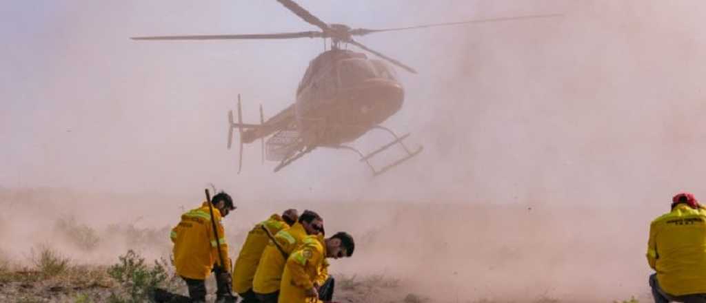 La Secretaría de Ambiente busca personal de apoyo temporario