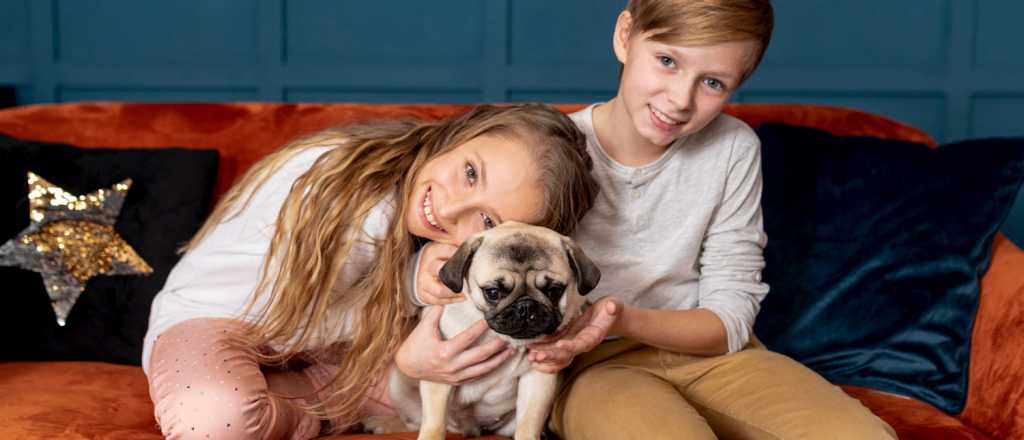 Elegí al compañero canino perfecto para tus hijos