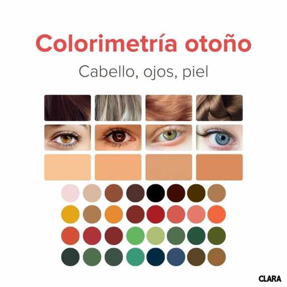 Descubre Tu Paleta De Colores Perfecta Cómo Encontrar Tu Colorimetría