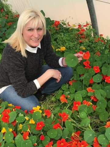 Capuchinas: cuidados de estas flores comestibles - GermiGarden