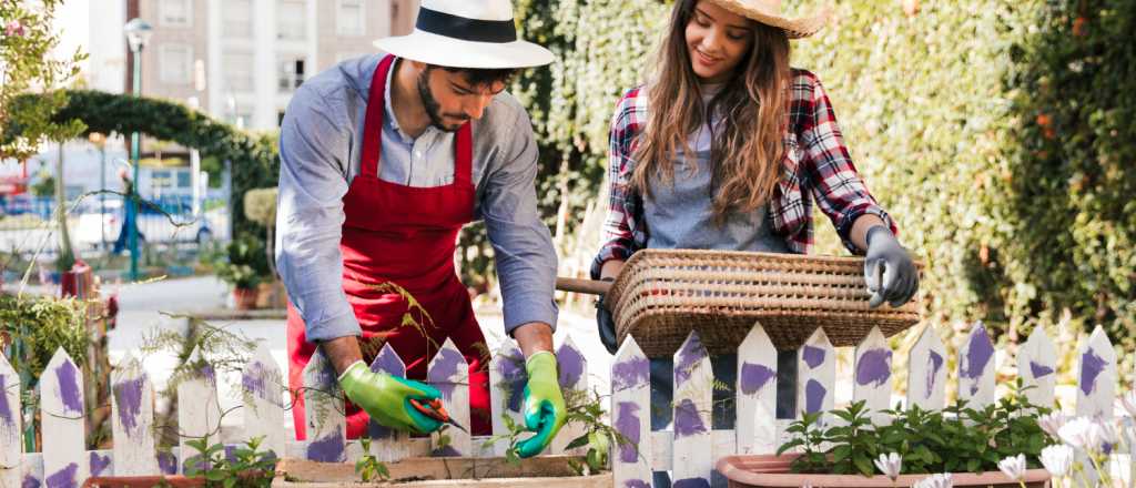 Guía para las tareas de jardinería en septiembre