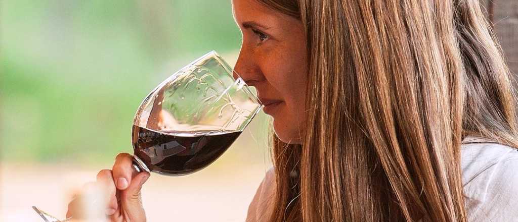 Dionisias Wine Fair llega con más de cien etiquetas de vinos para degustar