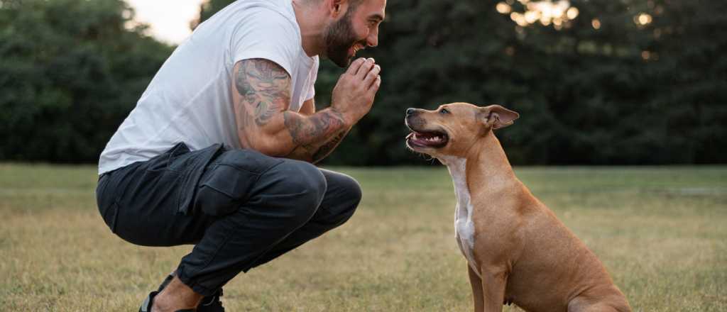 ¿Tiene tu perro a una persona que ama más?