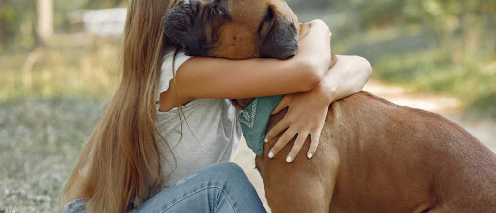 ¿Tu perro siente tu amor?, descubre las señales