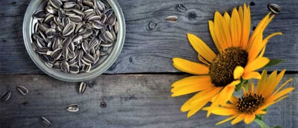 Cómo quitar la cáscara a las semillas de Girasol muy fácilmente