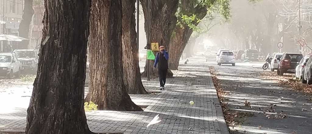 Viento Zonda para este lunes en Mendoza y máxima de 32 grados