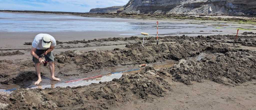 Descubrieron huellas prehistóricas en las costas de Río Negro