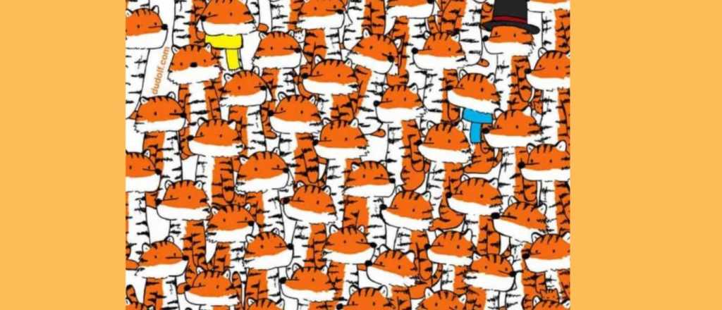 Acertijo visual: puedes hallar a los gatos ocultos en la imagen