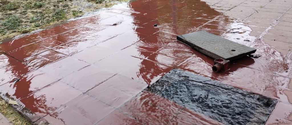 Sólo en un mes robaron 665 medidores de agua en Gran Mendoza