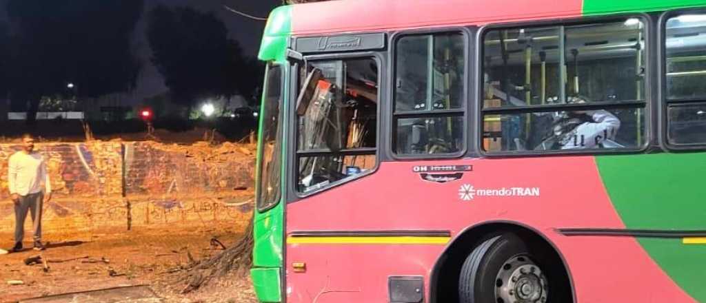 Un micro chocó contra un árbol en pleno Centro