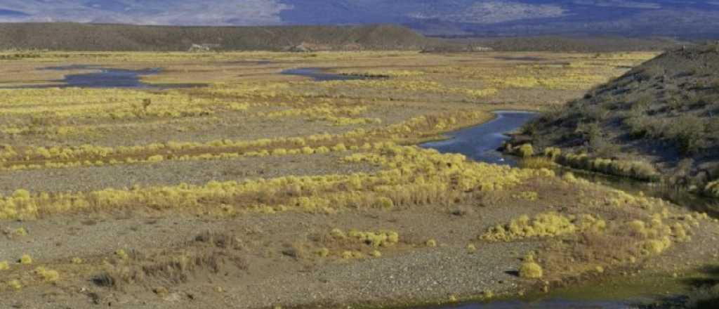 Buscan que La Payunia sea declarada Patrimonio Natural de la Humanidad