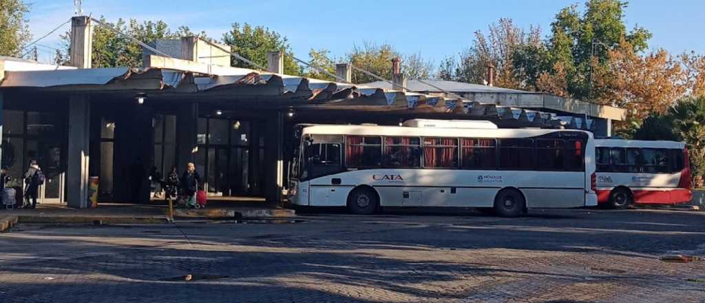 Cómo tramitar el pasaje de larga distancia gratis para ir a votar