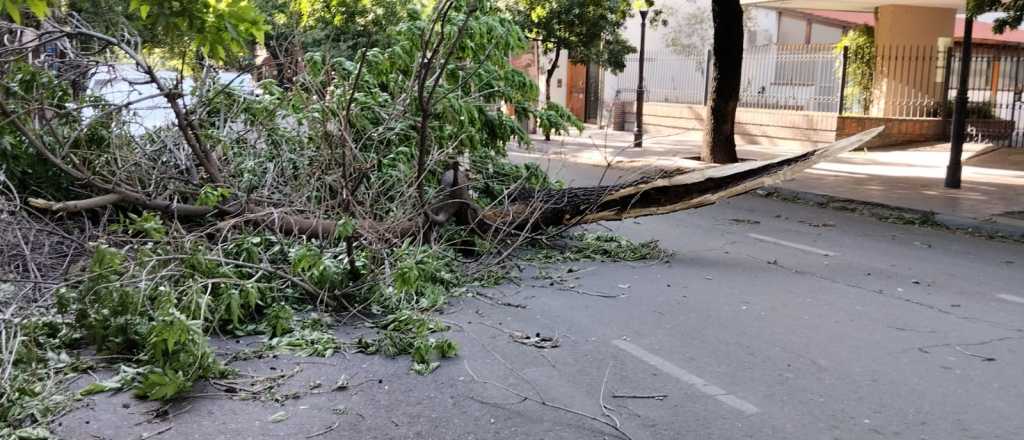 Las Heras, el departamento más afectado por la tormenta