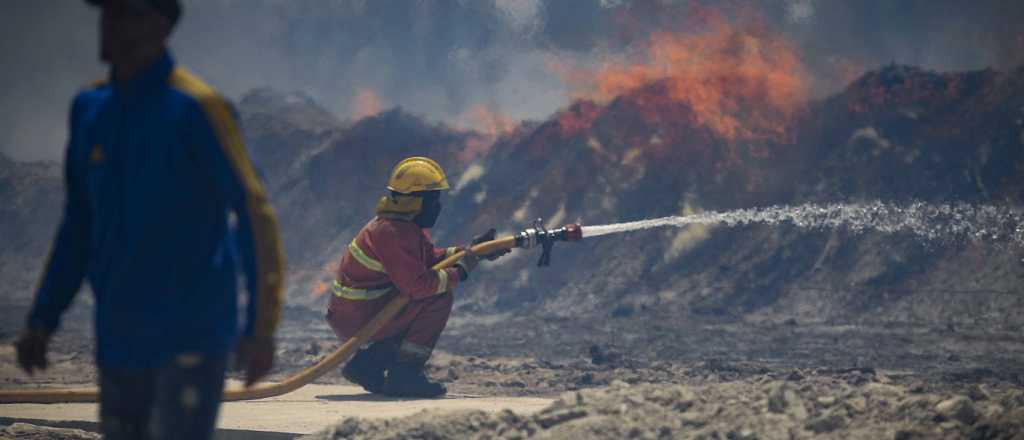 Este es el decreto que declara la emergencia ambiental en Mendoza