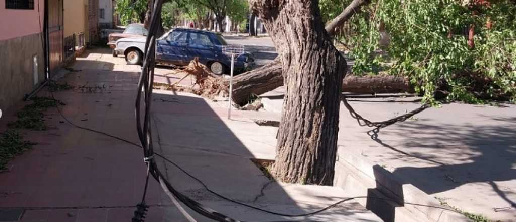 Robaron los cables que tiró el Zonda y sigue sin luz un sector de Las Heras