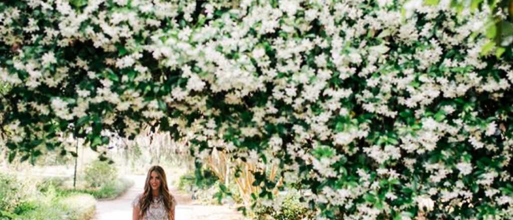 Plantá un jazmín: guía completa para tener un jardín perfumado