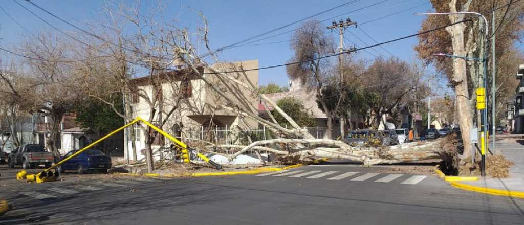 Cerca de 7 mil usuarios siguen sin electricidad después del paso del Zonda