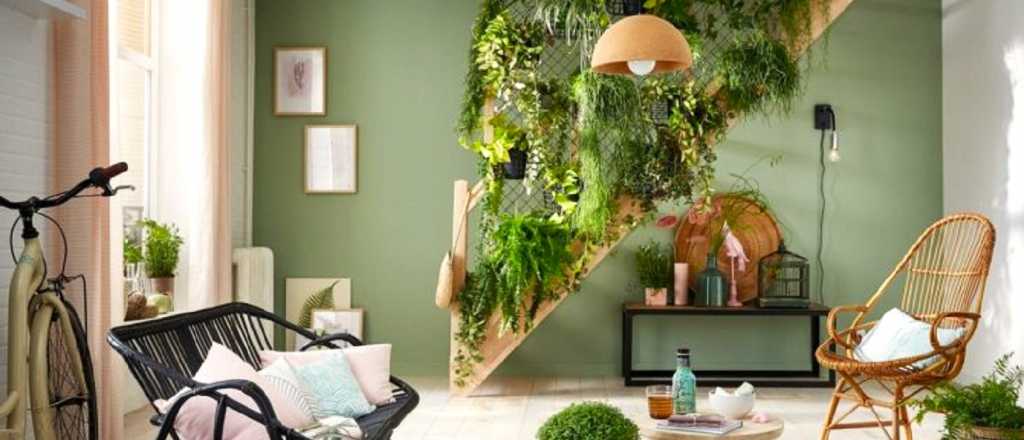 Transforma tu hogar con elegantes enredaderas: ideas inspiradoras