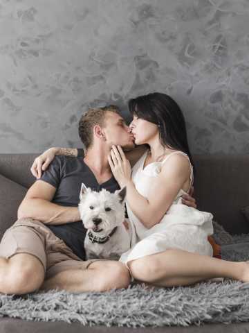 a los perros les gustan los besos y los abrazos