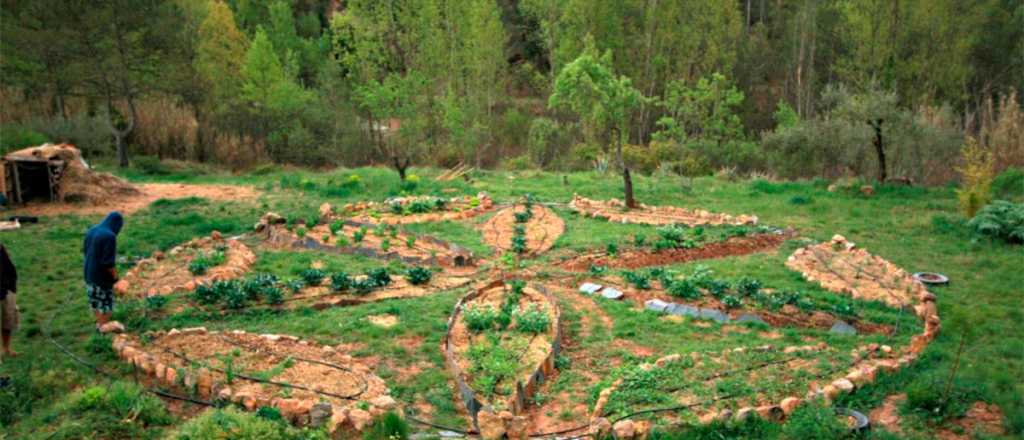 Descubrí la permacultura con esta guía y cultivá un armonioso futuro sostenible