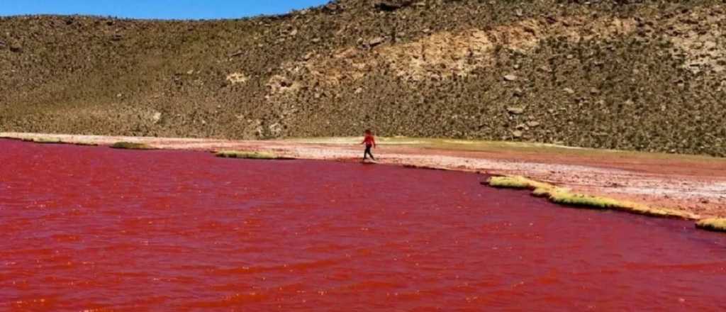 El río Nilo se tiñó de rojo y buscan explicaciones