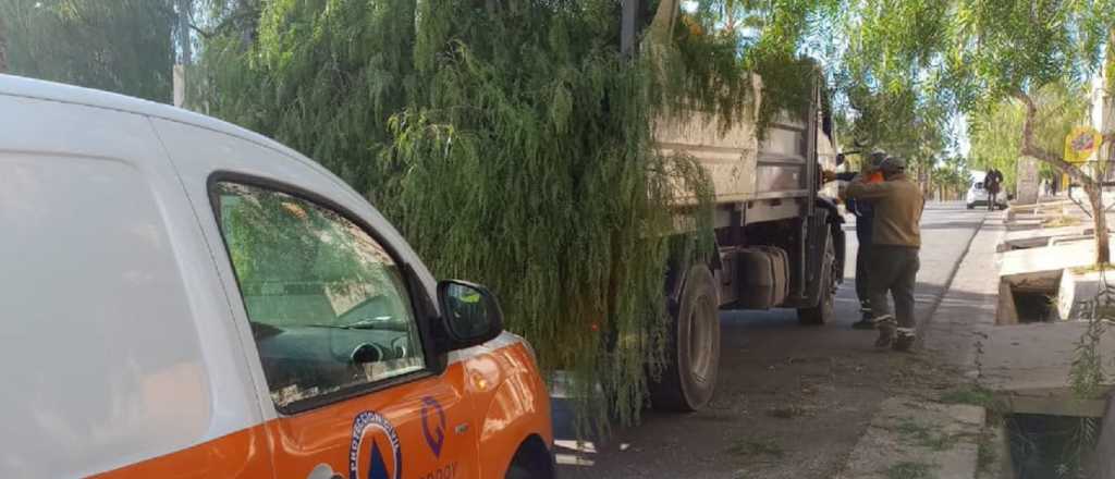 Zonda catastrófico: ¿qué actividades se suspenden en Godoy Cruz? 