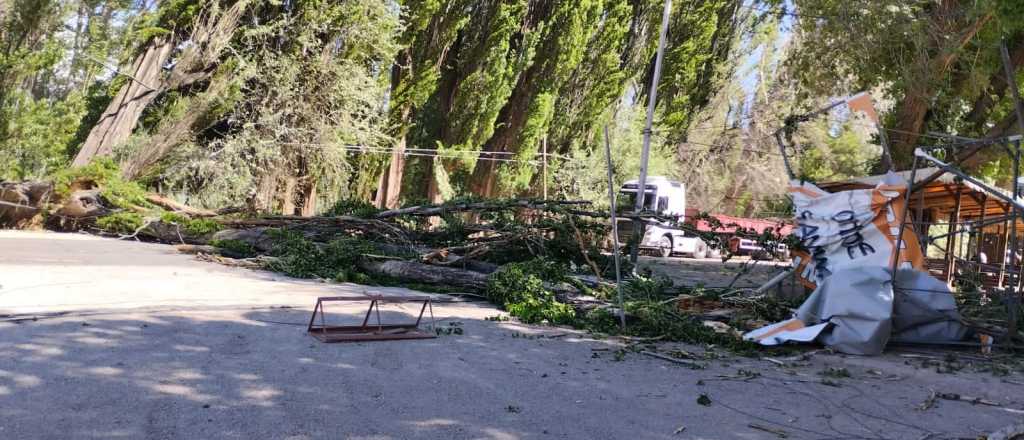 Estos fueron los daños que dejó el paso del Zonda por Mendoza este sábado