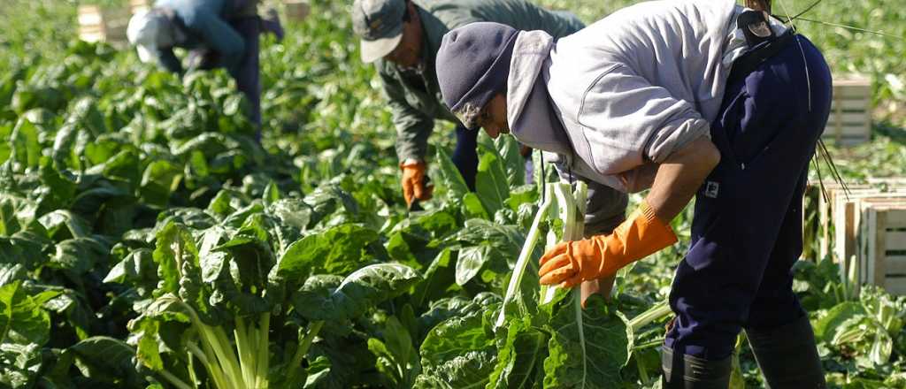 Trabajadores rurales acordaron un aumento y cobrarán casi $380 mil