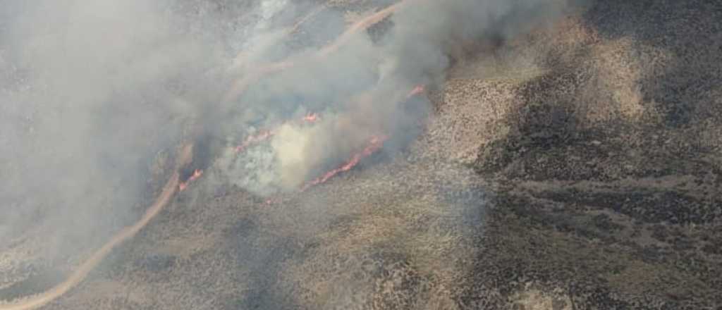 "La imagen es desoladora", el balance de Defensa Civil por el incendio