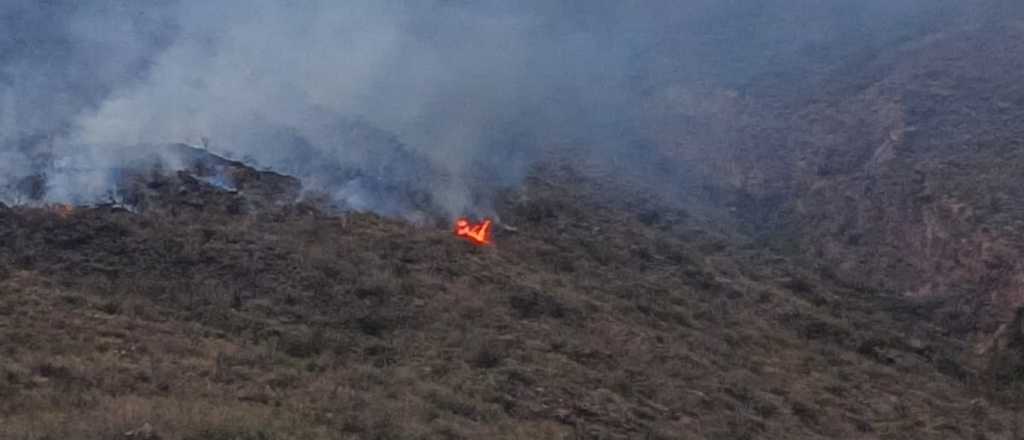 Un nuevo foco de incendio fue detectado en el Piedemonte