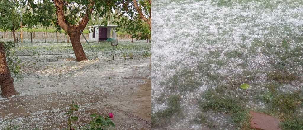 Videos: una tormenta de granizo azotó a Rivadavia