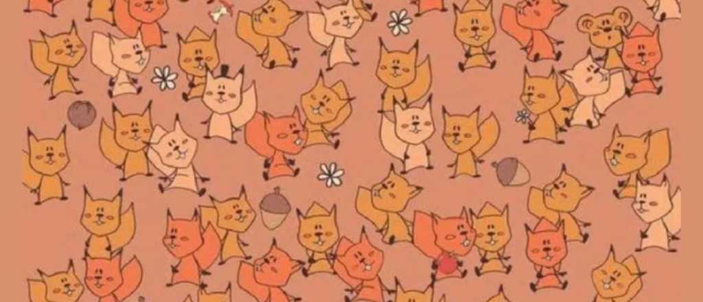 Acertijo visual: ¿Podés encontrar al leopardo escondido?