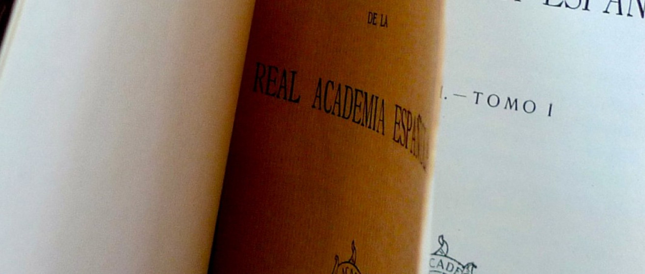La Real Academia Española sumó más de 4 mil palabras a su diccionario: las  más destacadas - El Litoral