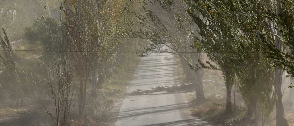 ¿A qué hora llegaría el viento Zonda al Gran Mendoza?