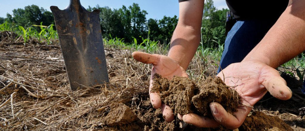 ¿Conocés el PH de un jardín perfecto?, analizá y transformá la tierra