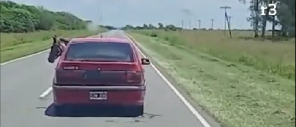 Video: andaba por la ruta con un caballo adentro de un Renault 19