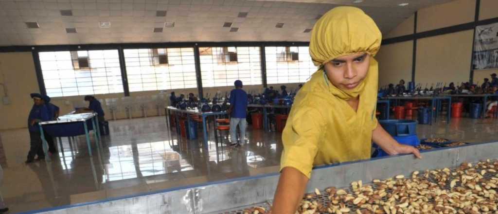 Un mercado se abre para Mendoza: Brasil importará almendras argentinas